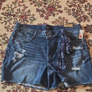 Edge Dark Blue Distressed Jean Shorts